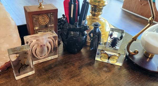 Somewhere Between Winter and Whatever Comes Next